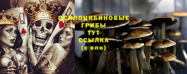 прущие грибы Алексин