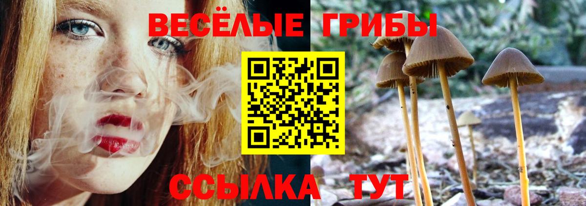 Галлюциногенные грибы прущие грибы Петровск